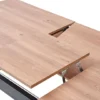 solid table extensible