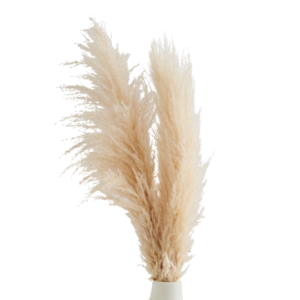 PAMUKLU – Pampas en coton à la maison Doğtaş